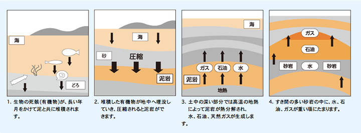 出典：東京ガス