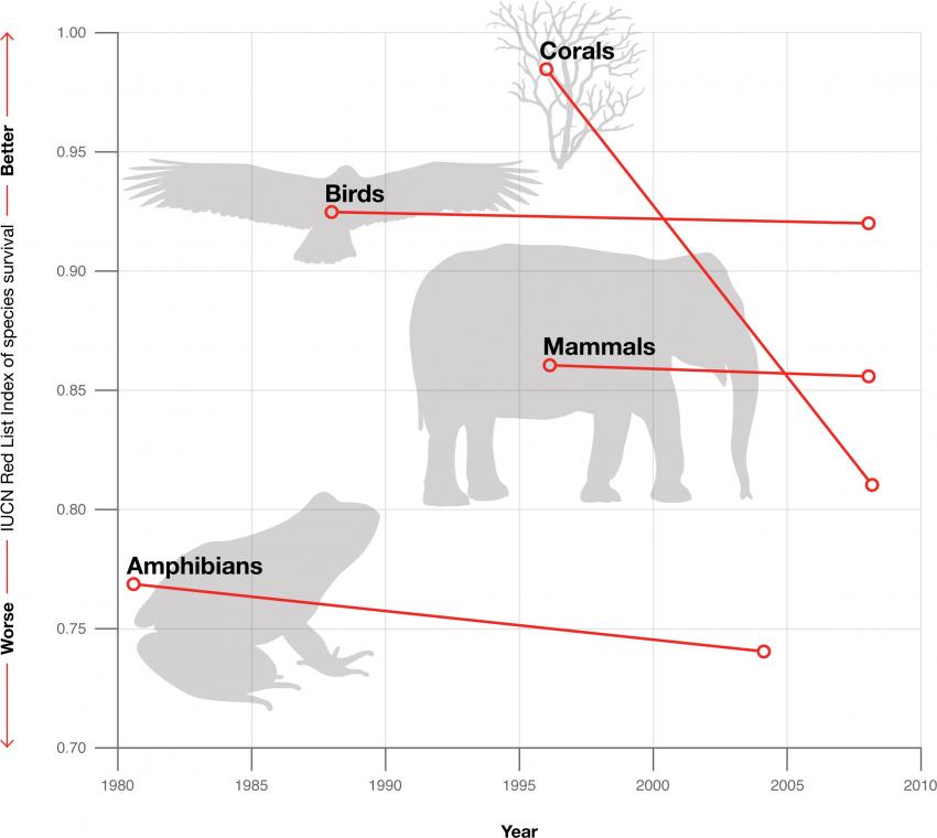 図）絶滅危惧種のレッドリスト