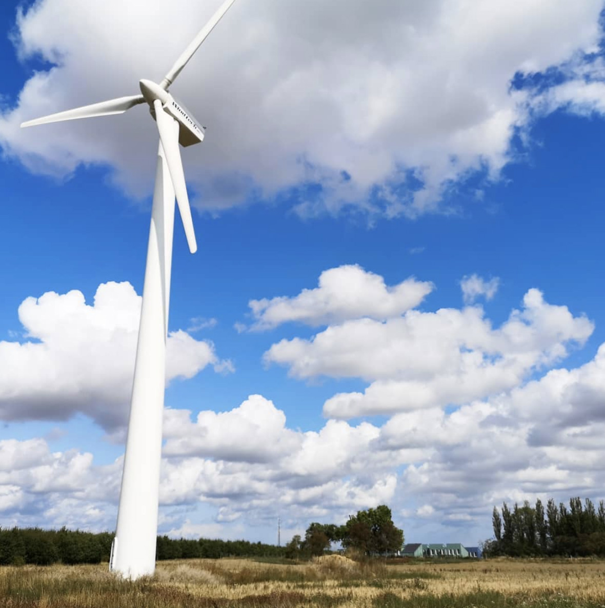 写真）敷地内の風力発電機と居住エリア（奥）