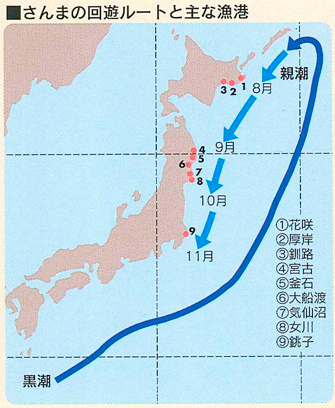 出典）全国サンマ棒受網漁業協同組合