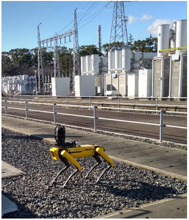 写真）屋外電力設備巡視状況