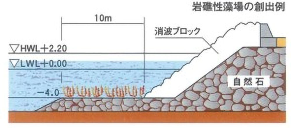 図）海洋生物への配慮