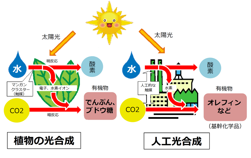 図）「光合成」と「人工光合成」の概念