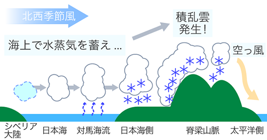 図1：西高東低 太平洋側に乾燥した風が吹くわけ