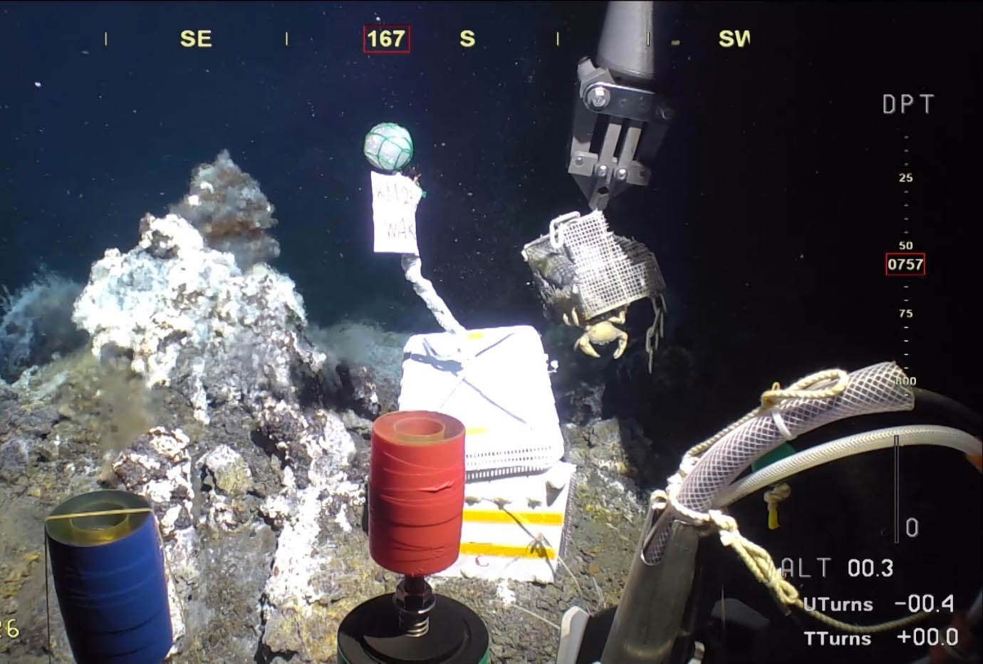 写真)無人探査機「KM-ROV」第226潜航。マニュピレータ(ロボットアーム)で藻のシートを入れた籠を回収している様子 2023年6月27日 東青ヶ島の海域
