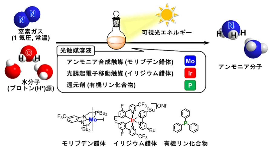 図）窒素ガスと水からの触媒的アンモニア合成反応を可視光エネルギーにより駆動するプロセス