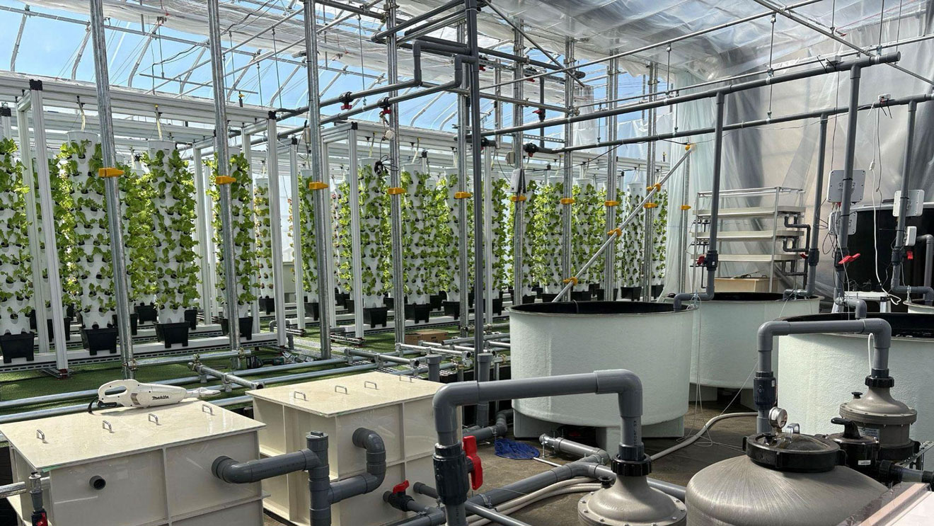 写真）アクアポニックスに特化して開発されたパッケージシステム「アクポニ温室」内観イメージ