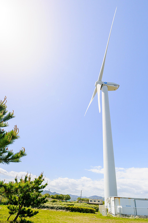 写真）風電君