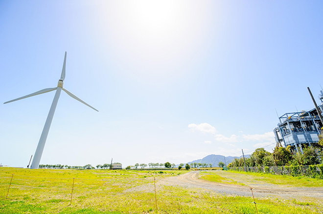 写真）風電君