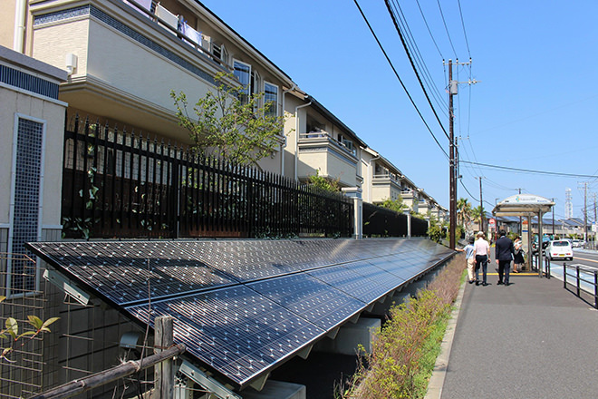 写真）太陽光発電パネル